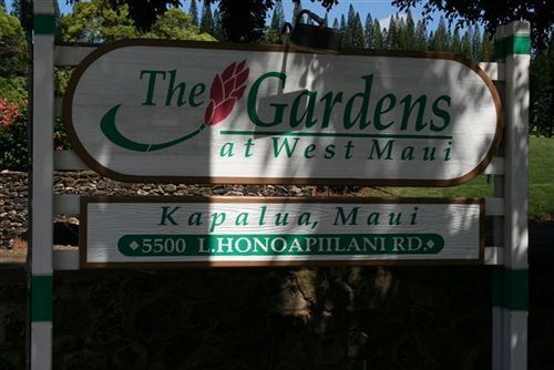 Gardens At West Maui Aparthotel Kapalua Kültér fotó